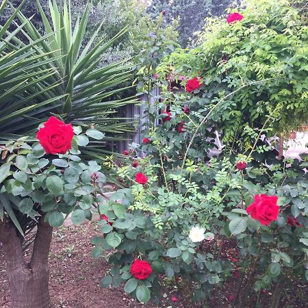 Hotel Il Giardino Della Foglia Bari Zewnętrze zdjęcie